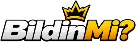 Bildinmi Giriş