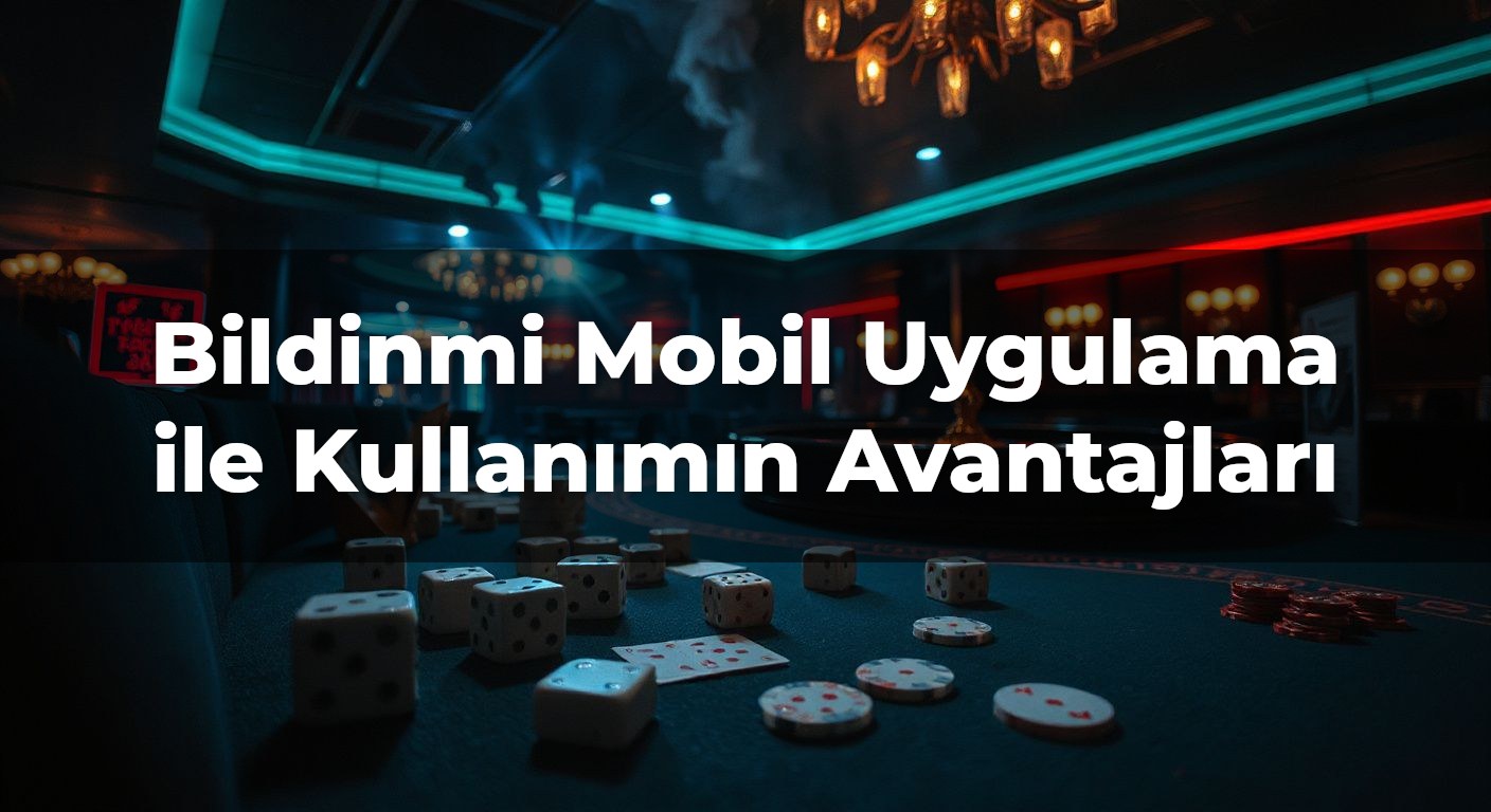 Bildinmi Mobil